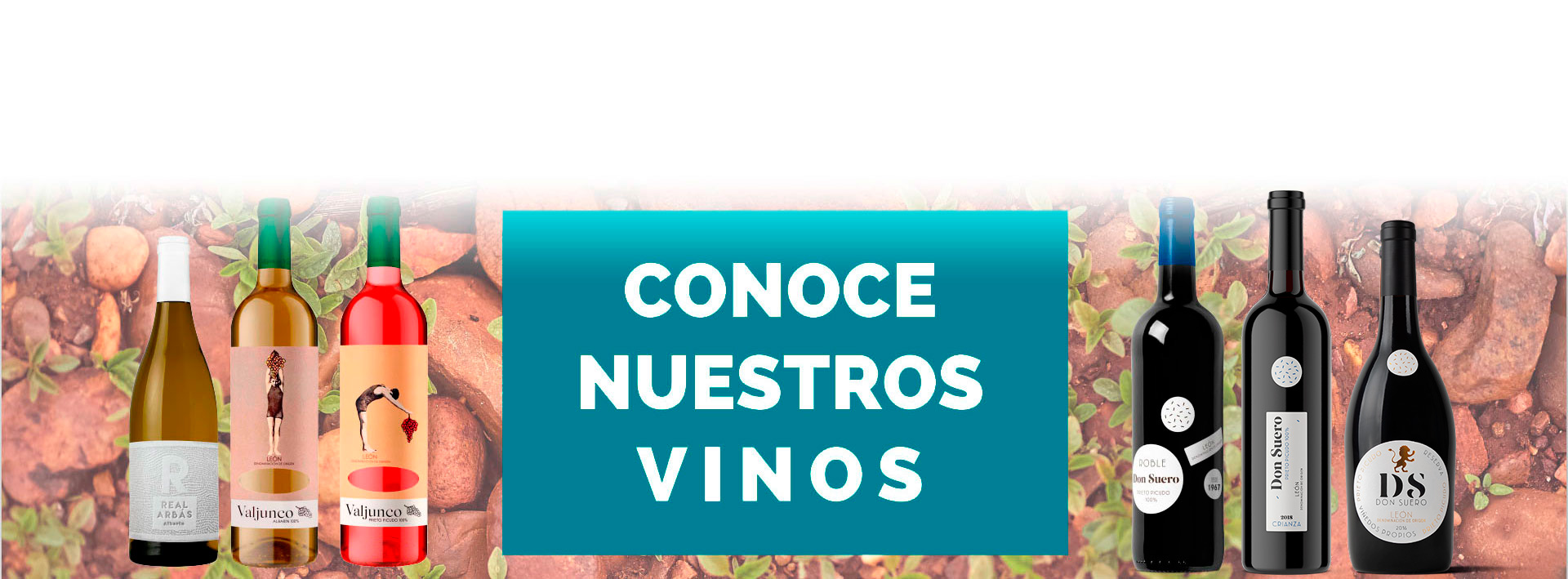 cabecera vinos